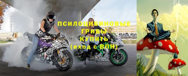 ALPHA PVP Покачи