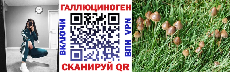 ссылка на мегу ССЫЛКА  Новоульяновск  Галлюциногенные грибы MAGIC MUSHROOMS 